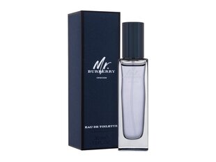 Туалетная вода Burberry Mr Burberry Indigo, 30 мл цена и информация | Мужские духи | 220.lv