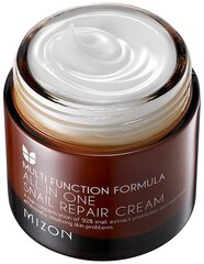 Atjaunojošs sejas krēms ar gliemežu sekrēta filtrātu 92% (All In One Snail Repair Cream) цена и информация | Наносите на чистую кожу лица. Подержите около 10-15 минут и смойте водой. | 220.lv