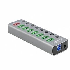 USB-разветвитель DELOCK 63264 цена и информация | Адаптеры и USB разветвители | 220.lv
