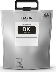 Картридж Epson XXL цена и информация | Картриджи для струйных принтеров | 220.lv