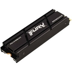 Kingston Fury Renegade, 500 GB M.2 cena un informācija | Iekšējie cietie diski (HDD, SSD, Hybrid) | 220.lv