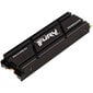 Kingston Fury Renegade, 500 GB M.2 cena un informācija | Iekšējie cietie diski (HDD, SSD, Hybrid) | 220.lv