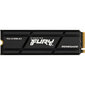 Kingston Fury Renegade, 500 GB M.2 cena un informācija | Iekšējie cietie diski (HDD, SSD, Hybrid) | 220.lv