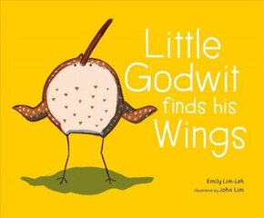 Little Godwit finds his Wings цена и информация | Книги для малышей | 220.lv