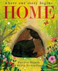 Home: where our story begins цена и информация | Книги для малышей | 220.lv