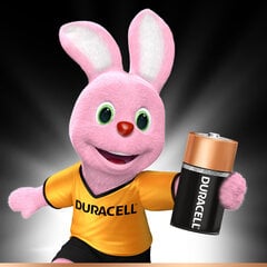 Батарейки Duracell C LR14, 2 шт. цена и информация | Батарейки | 220.lv