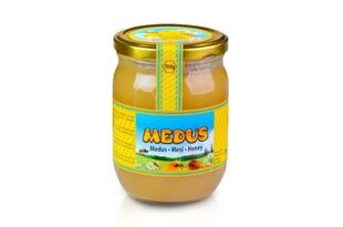 Medus no savvaļas ziediem, 0,7 kg cena un informācija | Konservēti produkti | 220.lv