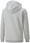 Puma Džemperi Ess Block Hoodie Black Grey Yellow 849081 04 849081 04/176 cena un informācija | Zēnu jakas, džemperi, žaketes, vestes | 220.lv