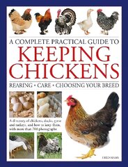 Keeping Chickens, Complete Practical Guide to: Rearing; Care; Choosing Your Breed: A directory of chickens, ducks, geese and turkeys, and how to keep them, with over 700 photographs cena un informācija | Enciklopēdijas, uzziņu literatūra | 220.lv