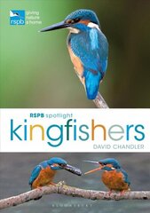 RSPB Spotlight Kingfishers цена и информация | Книги о питании и здоровом образе жизни | 220.lv