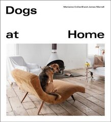 Dogs at Home cena un informācija | Grāmatas par veselīgu dzīvesveidu un uzturu | 220.lv