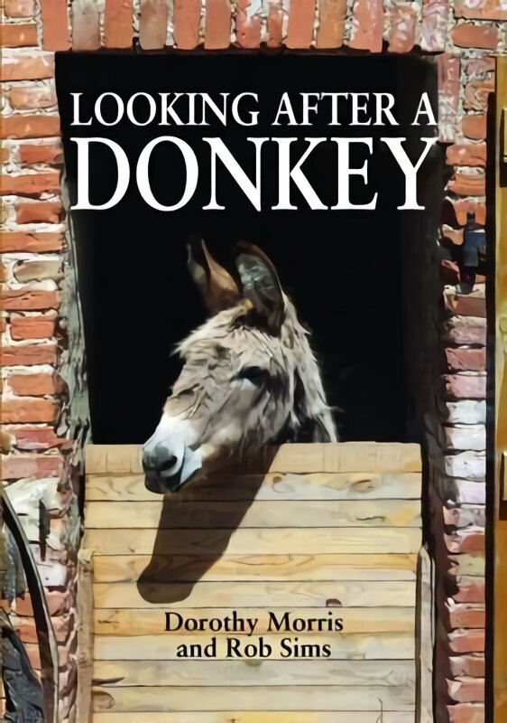 Looking After a Donkey cena un informācija | Grāmatas par veselīgu dzīvesveidu un uzturu | 220.lv
