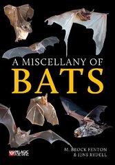 Miscellany of Bats cena un informācija | Grāmatas par veselīgu dzīvesveidu un uzturu | 220.lv