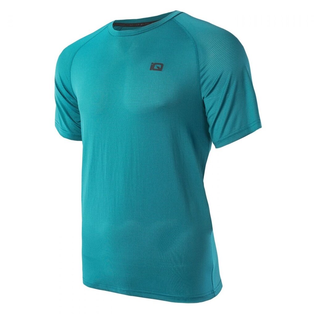 T-krekls vīriešiem IQ Dyoro M 92800398514, zils cena un informācija | Sporta apģērbs vīriešiem | 220.lv