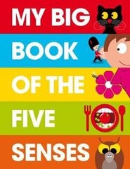 My Big Book of the Five Senses цена и информация | Книги для самых маленьких | 220.lv