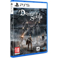 Компьютерная игра «Demon’s Souls», PlayStation 5 цена и информация | Компьютерные игры | 220.lv