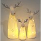 Ziemassvētku rotājums LED Briedis cena un informācija | Ziemassvētku dekorācijas | 220.lv