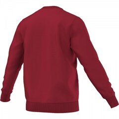 Adidas мужской свитер Core 15 Sweat Top S22320 цена и информация | Мужская спортивная одежда | 220.lv