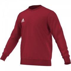 Adidas мужской свитер Core 15 Sweat Top S22320 цена и информация | Мужская спортивная одежда | 220.lv
