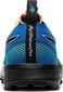 Sporta apavi vīriešiem Asics Buty Fuji Trabuco Pro 1011A566 401 cena un informācija | Sporta apavi vīriešiem | 220.lv