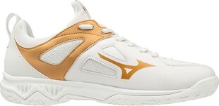 Sporta apavi sievietēm Mizuno Ghost Shadow X1GB198052 cena un informācija | Sporta apavi sievietēm | 220.lv