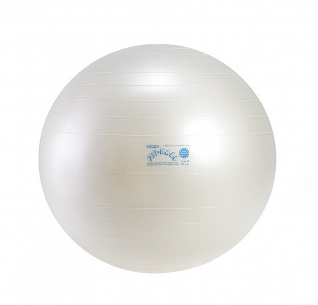 Fit Ball bumba 65 cena un informācija | Vingrošanas bumbas | 220.lv