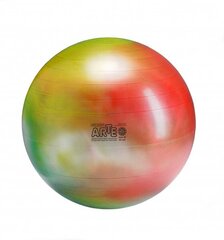 Gymnic Arte мяч 65 цена и информация | Гимнастические мячи | 220.lv