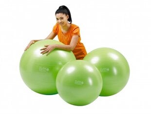 Мяч Gymnic Plus 75 зеленый цена и информация | Гимнастические мячи | 220.lv
