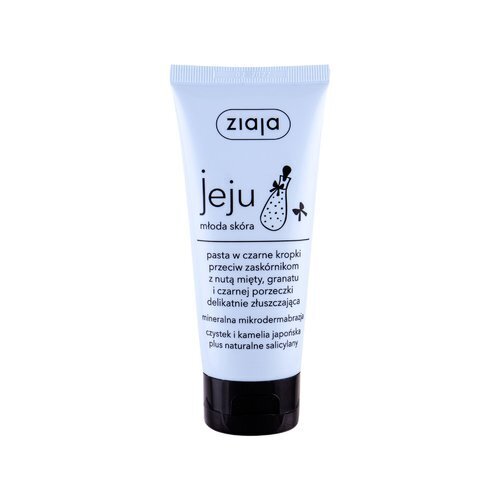 Ziaja Jeju Micro-Exfoliating Face Paste pīlings 75 ml cena un informācija | Sejas ādas kopšana | 220.lv