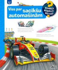 Viss par sacīkšu automašīnām. Kādēļ? Kāpēc? Kā tā? cena un informācija | Enciklopēdijas, uzziņu literatūra | 220.lv