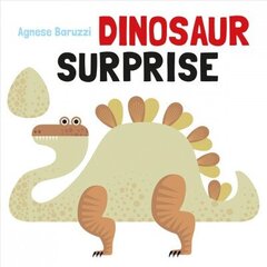 Dinosaur Surprise цена и информация | Книги для самых маленьких | 220.lv