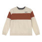 Bērnu Džemperis Levi's Colorblock Crewneck S6424626 цена и информация | Zēnu jakas, džemperi, žaketes, vestes | 220.lv