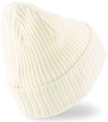 Шапка Puma Ribbed Classic Cuff Beanie White 024038 04 024038 04 цена и информация | Мужские шарфы, шапки, перчатки | 220.lv