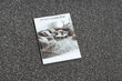 Viens chodnik KARMEL Gluds, vienkrāsains pelēks 160 cm cena un informācija | Paklāji | 220.lv
