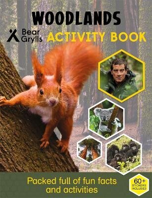 Bear Grylls Sticker Activity: Woodlands цена и информация | Grāmatas mazuļiem | 220.lv