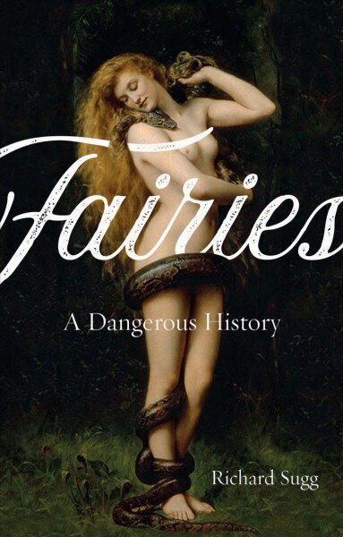 Fairies: A Dangerous History cena un informācija | Sociālo zinātņu grāmatas | 220.lv