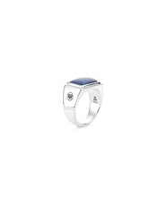 Серебряное мужское кольцо Rebel&Rose Lapis Lowneck RR-RG033-S цена и информация | Мужские украшения | 220.lv