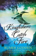 Kingfishers Catch Fire: A Virago Modern Classic cena un informācija | Fantāzija, fantastikas grāmatas | 220.lv