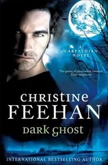 Dark Ghost cena un informācija | Fantāzija, fantastikas grāmatas | 220.lv