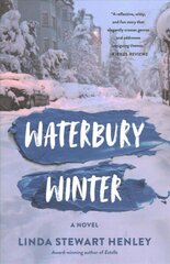 Waterbury Winter: A Novel цена и информация | Фантастика, фэнтези | 220.lv