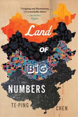 Land of Big Numbers: Stories цена и информация | Фантастика, фэнтези | 220.lv