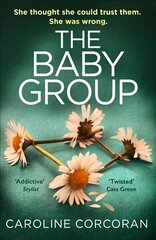 Baby Group цена и информация | Фантастика, фэнтези | 220.lv