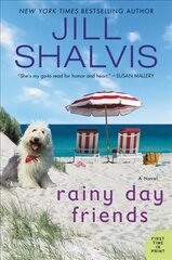 Rainy Day Friends: A Novel цена и информация | Фантастика, фэнтези | 220.lv