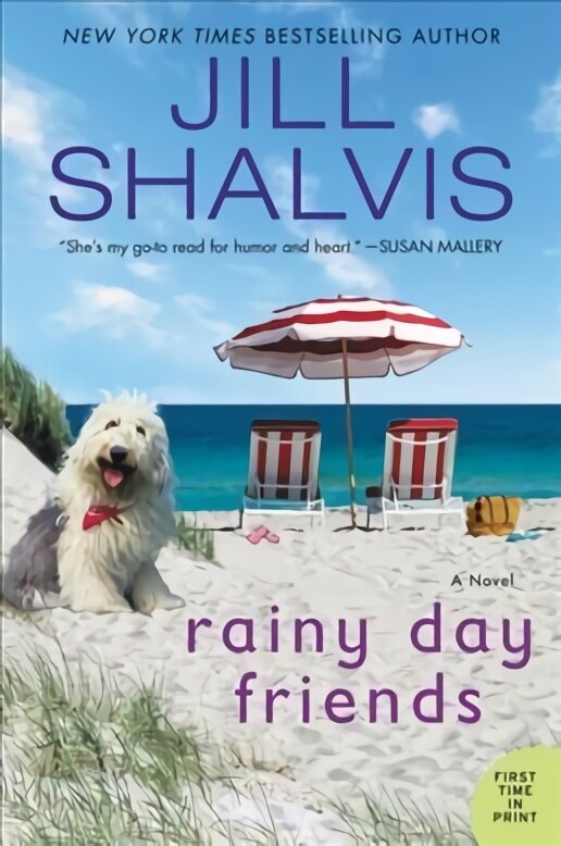 Rainy Day Friends: A Novel cena un informācija | Fantāzija, fantastikas grāmatas | 220.lv
