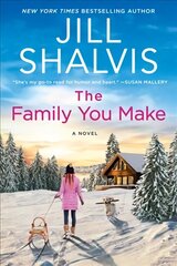 Family You Make: A Novel цена и информация | Фантастика, фэнтези | 220.lv