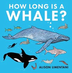 How Long is a Whale? cena un informācija | Grāmatas mazuļiem | 220.lv