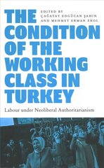 Condition of the Working Class in Turkey: Labour under Neoliberal Authoritarianism cena un informācija | Sociālo zinātņu grāmatas | 220.lv