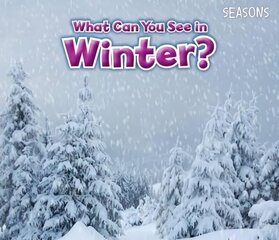 What Can You See In Winter? цена и информация | Книги для малышей | 220.lv