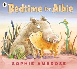 Bedtime for Albie cena un informācija | Grāmatas mazuļiem | 220.lv