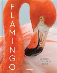 Flamingo: A Graphic Novel Chapter Book цена и информация | Книги по фотографии | 220.lv